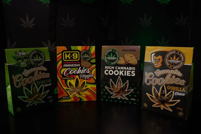 Colección de cajas ilustradas · fotografía de la colección